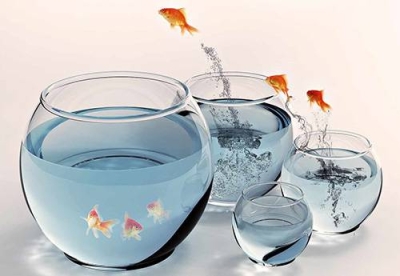 Mudan�a requer coragem e planejamento :: Por Erenita Sousa (Foto: Reprodu��o/Internet)