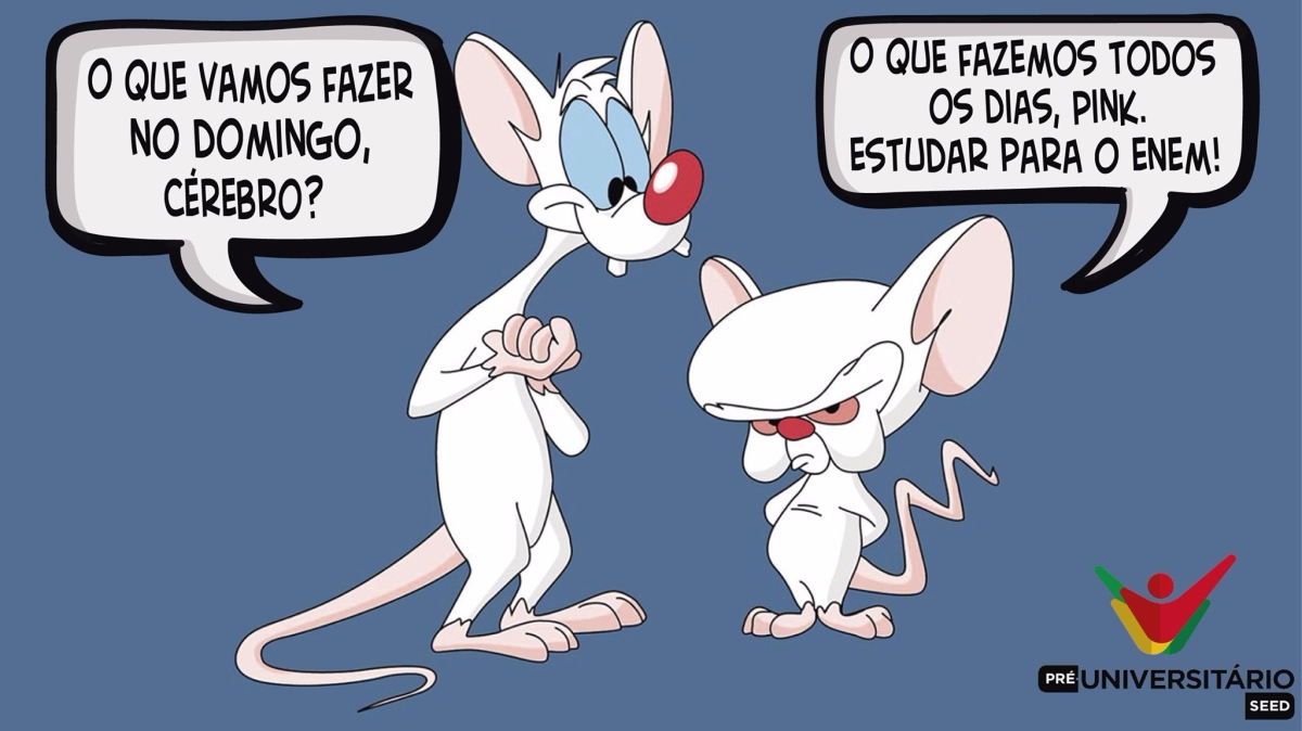 P�gina virtual do Pr�-universit�rio da Seed/Sergipe � sucesso entre estudantes e internautas (Imagem: Seed/SE)