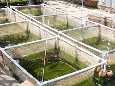 IFS: J� est�o abertas as inscri��es para 1� turma do curso de Aquicultura do Campus Est�ncia (Imagem: IFS)