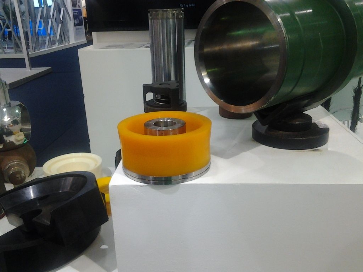 Sergipanos participam de congresso nacional sobre inova��o (Foto: Ascom Sebrae/SE)