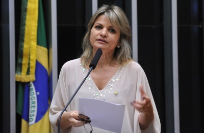 Fl�via Morais: para a v�tima, a vantagem de resolver tudo na esfera administrativa � a celeridade no recebimento do valor (Foto: Luis Macedo/C�mara dos Deputados)