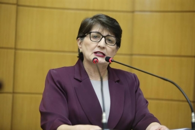 Deputada Maria Mendon�a (Imagem: Assessoria Maria Mendon�a)